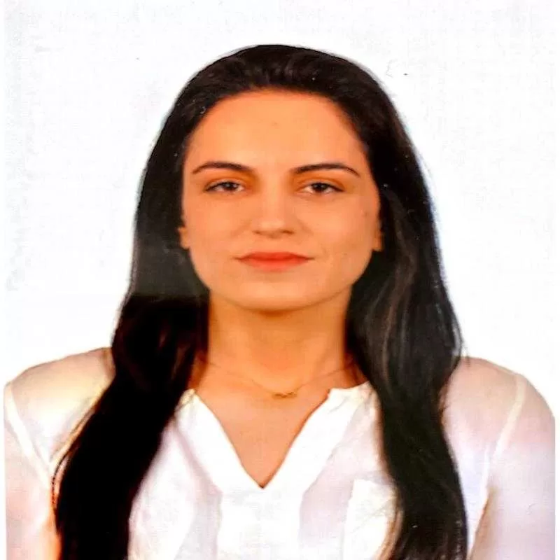 Yeni Medya Düzeni  ve Dijital Kapitalizm